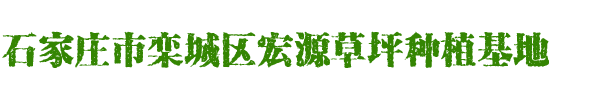 石家庄市栾城区宏源草坪种植基地